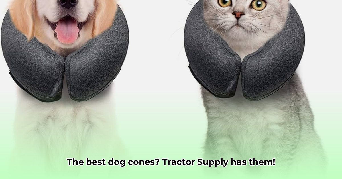 cone-for-dogs-tractor-supply